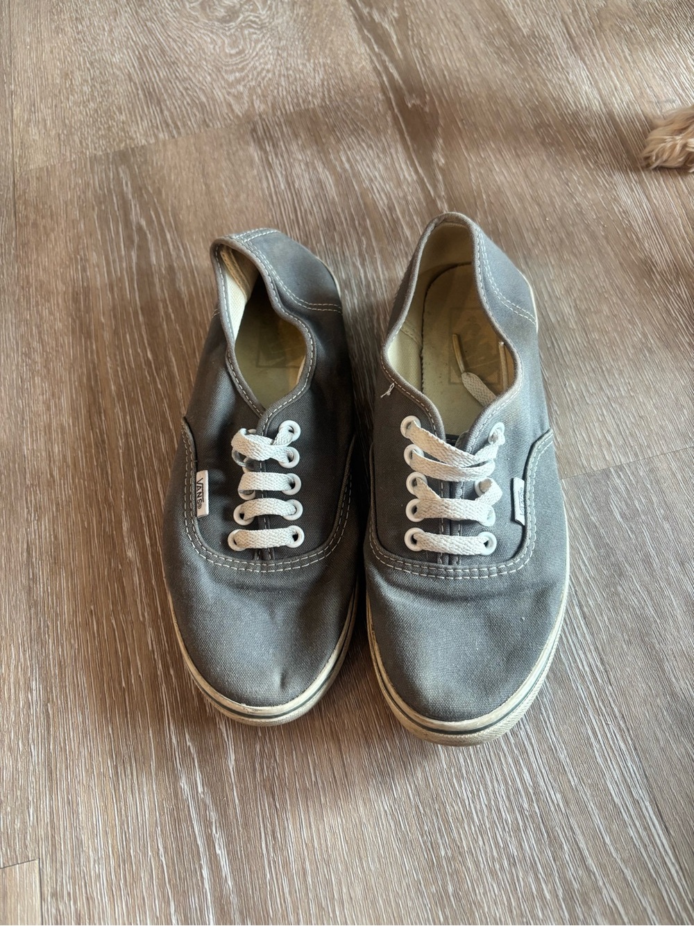 Vans Gray Canvas Low-Top Sneakers with White Laces